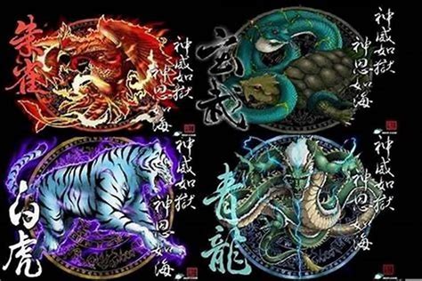 青龍 朱雀 玄武 百虎|四大神獸(四神獸):起源,青龍,來歷,地名,年號,區別,白虎,來歷,象徵,。